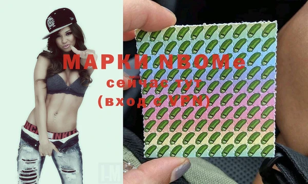 дживик Коряжма