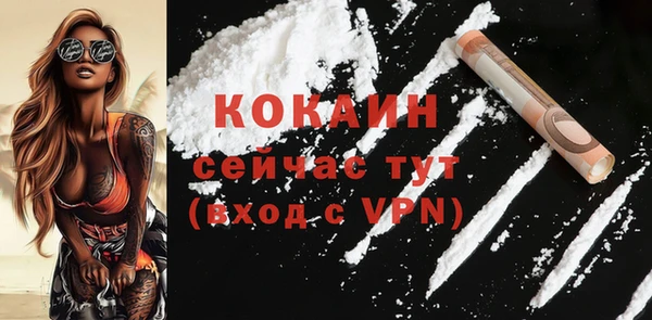 дживик Коряжма